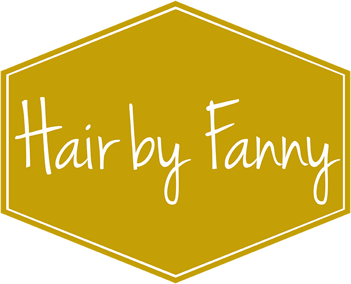 logo fanny
